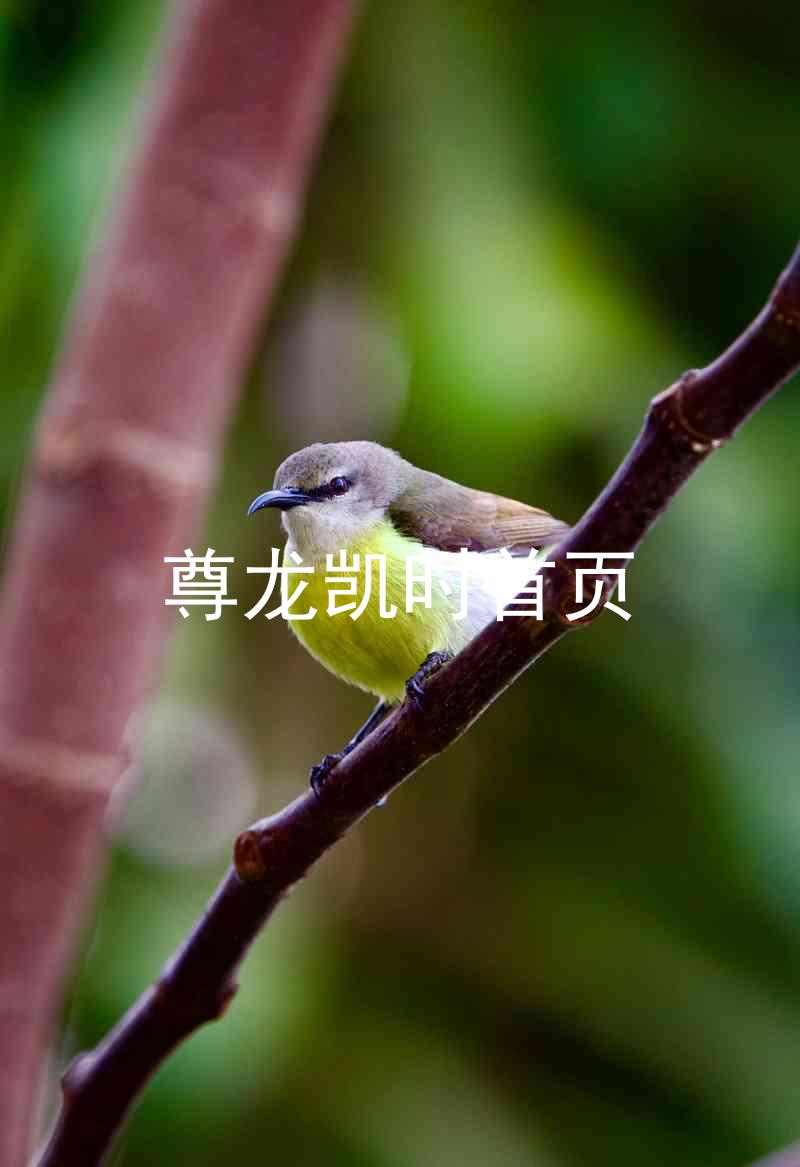 尊龙凯时首页